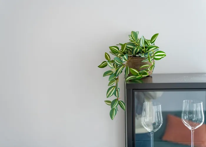 Dabrowskiego Old Town By Bookinghost *