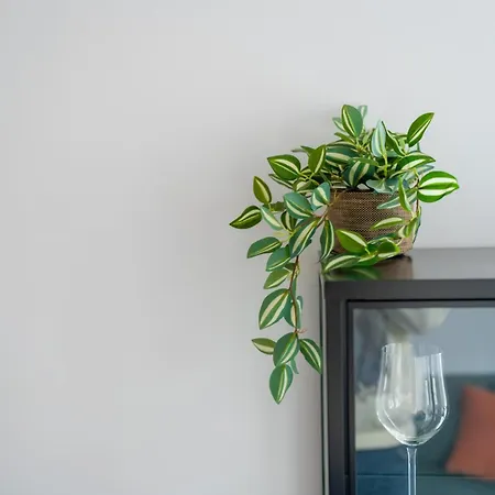 Dabrowskiego Old Town By Bookinghost *