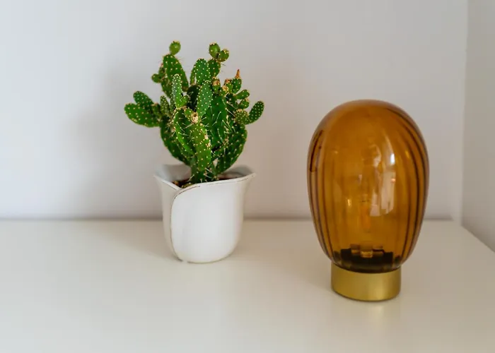 Apartment Dabrowskiego Old Town By Bookinghost